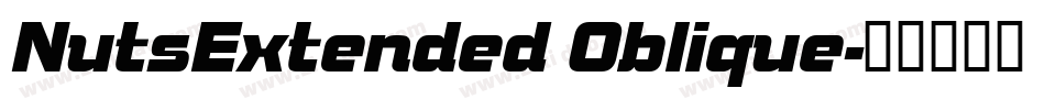 NutsExtended Oblique字体转换